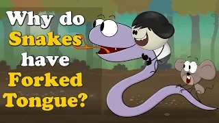 Why do Snakes have Forked (Split) Tongue? + more videos | #aumsum #kids #education #children