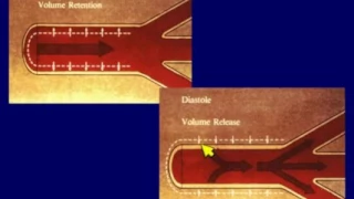 Vascular Ultrasound Imaging & Doppler Upper Extremity Arteries