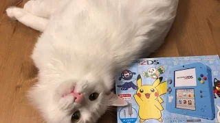 Pokémon Sun-Moon 2DS Unboxing (Japan, 4K)