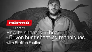 How to shoot wild boar – Driven hunt shooting techniques | Norma Academy