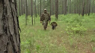 Game of Gobblers, Turkey Hunting in East Texas