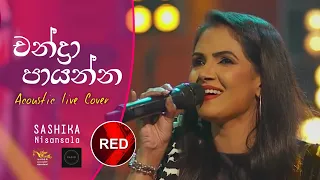 චන්ද්‍රා පායන්න (Acoustic Live Cover) | SASHIKA | Chandra Paayanna - Coke RED