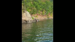 Cliff jumping at Raystown Lake 2016