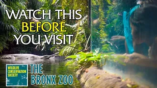 Watch This Before You Visit the Bronx Zoo