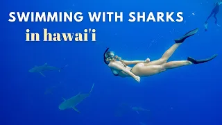 SWIMMING WITH SHARKS IN HAWAI'I!!