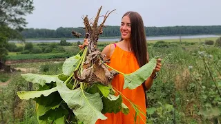 Добываю корень лопуха, делаю маску и ополаскиватель для волос