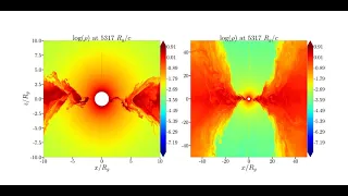 Sgr A* Accretion Disk Transverse Slice Density