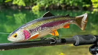 Fishing a TROUT SWIMBAIT for BIG BASS!