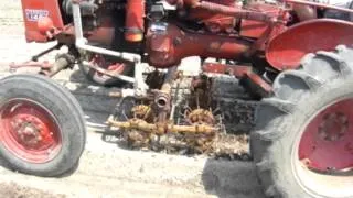 Weeding Carrot Beds Using a Basket Weeder