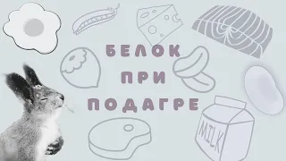 Откуда брать белок при подагре