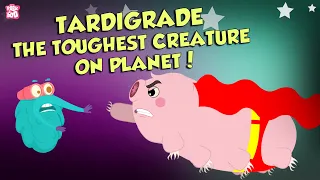 What Are Tardigrades? | The Strongest Creature Ever | The Dr Binocs Show | Peekaboo Kidz