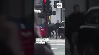 Cavalos fogem e correm pelas ruas de Londres