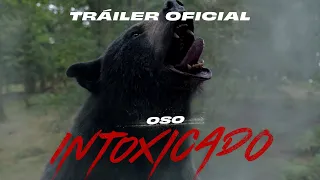 Oso Intoxicado – Trailer Oficial (Universal Pictures) HD