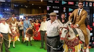 IIFA Rocks 2016 Green Carpet: Shahid Kapoor, Farhan Akhtar hit the green carpet on Spanish donkeys