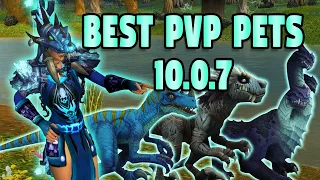 Dragonflight Hunter PvP |  Best pets and when to use them