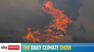 Daily Climate Show: Europe braces for another heatwave