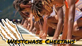 Day In The Life Of A Westchase Cheetah (Track & Field Vlog Episode 3 Part 2)