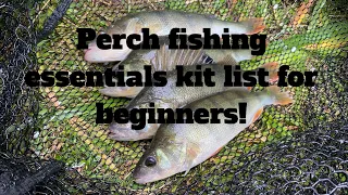 What do I need to start perch lure fishing? Complete kit list!