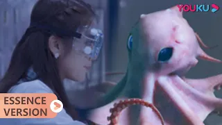 全程高能！大章鱼痛失爱子，上岸疯狂报复人类！ |【大章鱼 Big Octopus】 | YOUKU MOVIE | 优酷电影