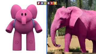 How Pocoyo Characters Looks In Real Life 💥
