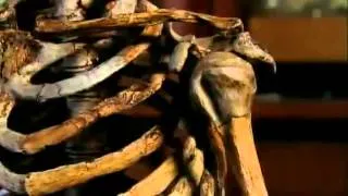 Neanderthals  Human Extinction   BBC Documentary