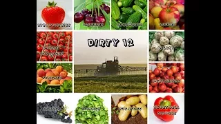 The Dirty Dozen - 12 most pesticide contaminated food