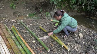 Building Bushcraft Shelter On High, Survival Camp Outdoor Cooking | Bushcraft Life #45