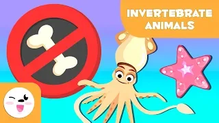 Invertebrate animals for kids: arthropods, worms, cnidarians, mollusks, sponges, echinoderms