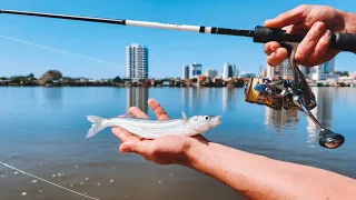 Encontrei uma nova maneira de pescar peixe-rei! (Pescando, limpando e preparando)