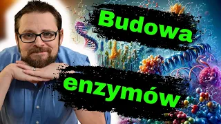 Budowa i działanie enzymów | Kataliza enzymatyczna | Biologia do matury | Metabolizm| Zad. maturalne