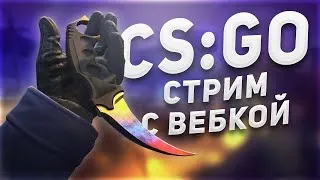 🔴Стрим CS:GO , фан и розыгрыши! Играем на сайтах Раздаю деньги весь стрим! Донат от 5 рублей.