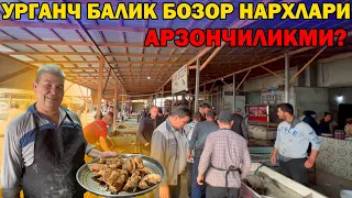 УРГАНЧ БАЛИК БОЗОРИ НАРХЛАРИ КИММАТЛАМОКДАМИ? | URGANCH BALIQ BOZORI #baliq