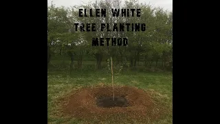 fruit tree planting | ellen white method