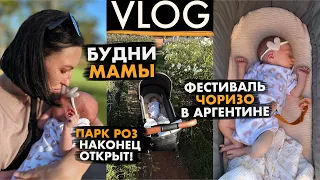 Масштабный фестиваль ЧОРИЗО в Аргентине/ БУДНИ МАМЫ/ стоил ли ПАРК РОЗ - ожидания?