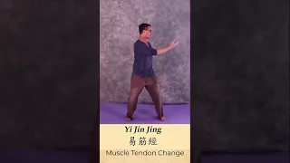 10 reasons to learn the Yi Jin Jing (1   5)