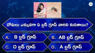 Most Interesting Questions Telugu || Unknown Facts || General Knowledge || Telugu Quiz || GK