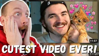 CUTEST VIDEO EVER! Schlatt's Cat Jambo Clips That Cured My Depression (REACTION!) jschlattLIVE