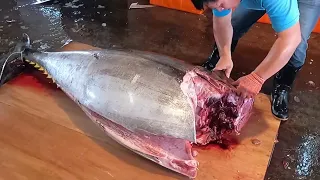 300 kg Giant Bluefin Tuna Superb and Fabulous Cutting Skills