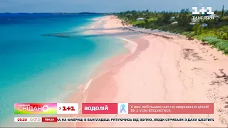 Розовый пляж, фламинго и свиньи: интересные факты о Багамских островах