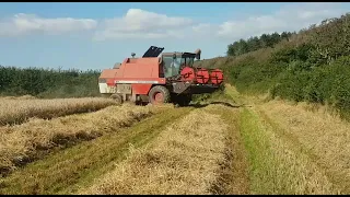 Massey Ferguson 27 combining