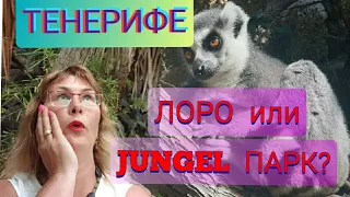 Тенерифе.Jungel Park(Парк Орлов) или Лоро Парк.Куда сходить?Интересные места.Канарские острова