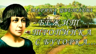 Стихотворение «Бежит тропинка с бугорка...» Марина Цветаева. Поэтическая тетрадь (анимация)