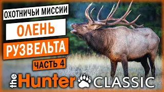 ОХОТА НА ОЛЕНЯ РУЗВЕЛЬТА! | Охотничьи Миссии | theHunter Classic 🐻 | (часть 4)