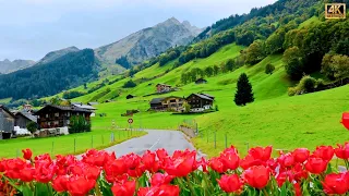 Enchanting Tour through Switzerland's Amazing Scenery | Switzerland 🇨🇭 Road Trip