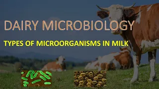 DAIRY MICROBIOLOGY II TYPES OF MICROORGANISMS IN MILK