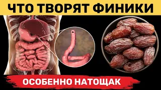 Всего ТРИ ФИНИКА В ДЕНЬ запустят необратимые процессы в вашем организме. ФИНИКИ польза?