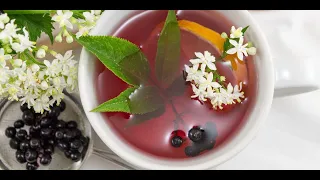 Elderberry Tea, Amazing 4 Facts That You Need To Know!