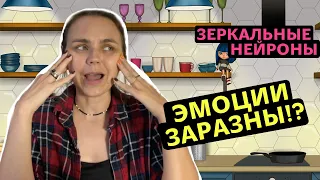 Как работают зеркальные нейроны? | Эмпатическая система