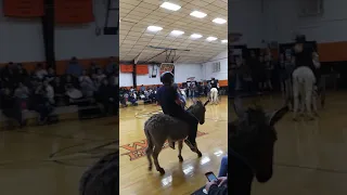 Donkey basketball(2)