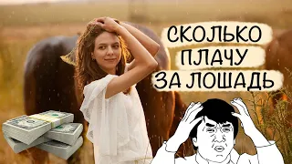 ЦЕНА СОДЕРЖАНИЯ ЛОШАДИ